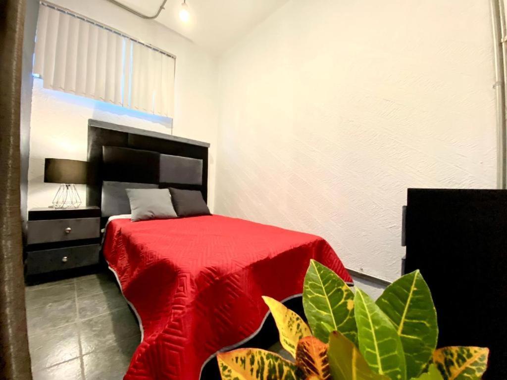 Guest house Rms - Reforma