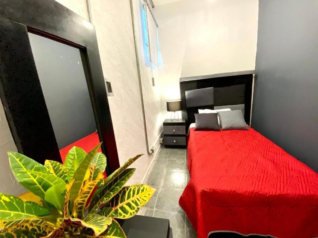Guest house Rms - Reforma Mexico City