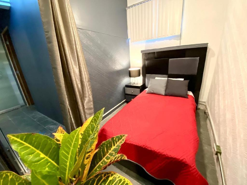 Guest house Rms - Reforma *